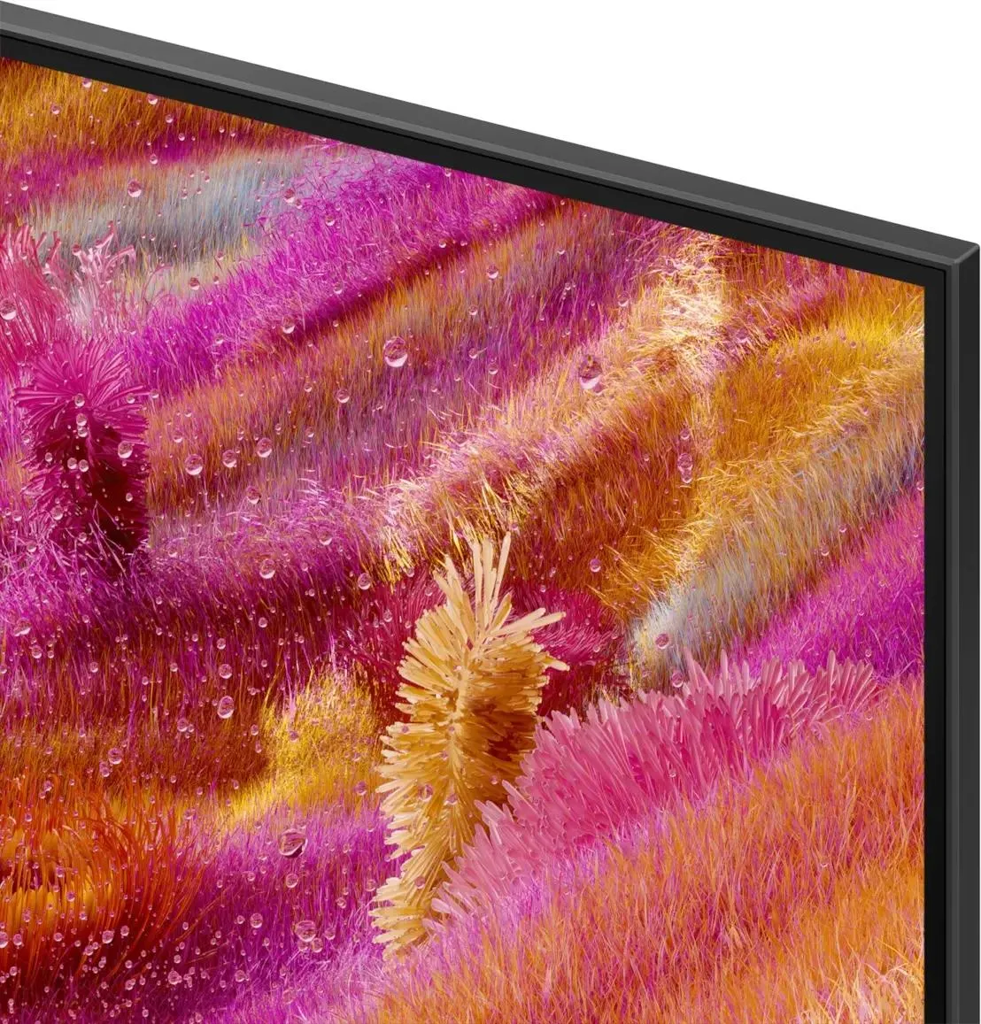 Samsung QE55QN90FAUXCE